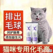 猫肚子里有毛球不吃化毛膏怎么办