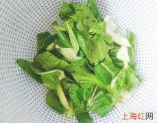 白玉菇的做法是什么